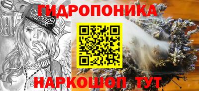 наркотики Заводоуковск
